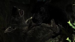Skyrim: Werewolf on Wolf [Part 1] Creature on creature animation
